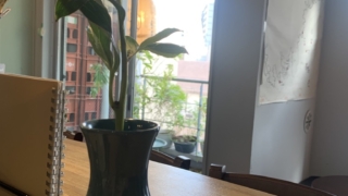 Thumbnail of post image 126