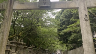 Thumbnail of post image 039